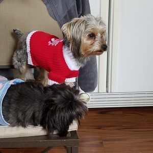 Meet your Posher, Rhonda